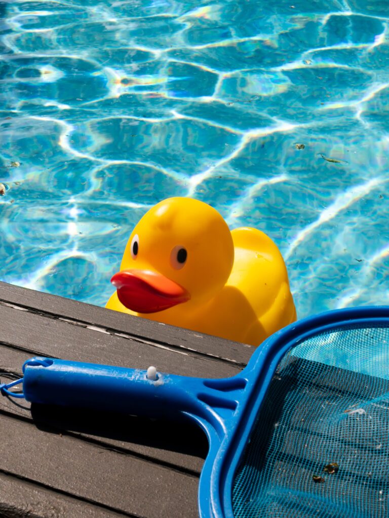 What Do Professional Pool Cleaners Use?